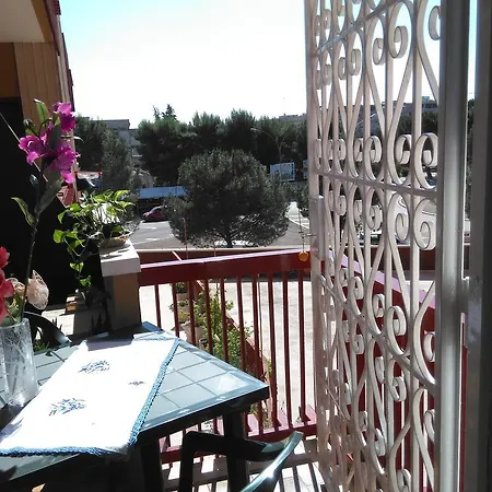 University B&B